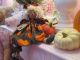 Collectiblle Fall Harvest Pumpkins & Black Crows Round Head Raggedy Ann Doll Primitives photo 3