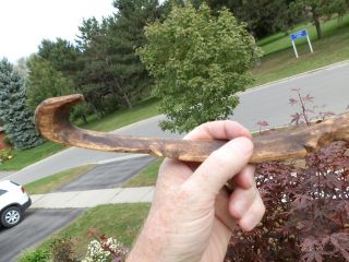 Primitive Hand Carved Designed Wood Spoon & Hooked Handle With Loon Head Shape photo