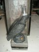 Vintage Antique Wood Box Primitive Folk Art Black Bird Crow Rhinestone Crown Primitives photo 2