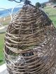 Early Vintage Large Hanging Reed Live Bird Trap - - Fantastic Primitives photo 7
