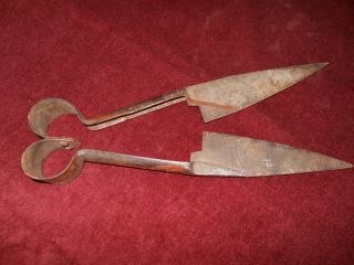 Antique Sheep Shearing Shears Scissors Non Electric 6 1/2 In Blades Brown Paint photo