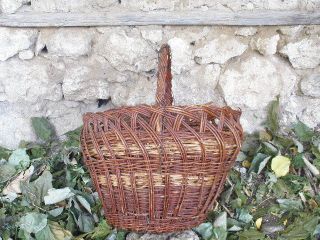 Finding An Old House,  19th Century,  Hand - Woven Basket And Pretty Big Juniper. photo