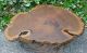 Vintage Handmade Rustic Cypress Tree Trunk Stump Root Accent Table Charleston Sc Primitives photo 3