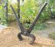 Primitive Old Early Farmhouse Hand Forged Iron Pliers Tool Blacksmith Shop Tool Primitives photo 2