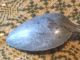 Old Very Long Gray Graniteware Stirring Soup Spoon. Primitives photo 4