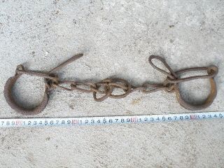 Antique,  Primitive,  Very Old Shackles For Horses,  Donkeys,  Tap.  Wrought Iron. photo