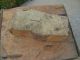 Collectible Antique Burlington,  Iowa Clay Brick~ Primitives photo 2