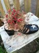 Primitive Antique Shoe With Pip Berries And Stars Primitives photo 1
