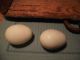 Vintage Hand Blown White Milk Glass Nesting Chicken Hen Eggs (qty 2) Starter Egg Primitives photo 3