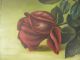 Wonderful American Folk Art Red Rose Flower Painting Signed & Dated 1894 Primitives photo 3