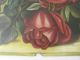 Wonderful American Folk Art Red Rose Flower Painting Signed & Dated 1894 Primitives photo 4