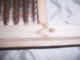 Vintage Champion Silver Metal Washboard Primitives photo 2