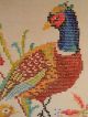 Pheasant~ Large Vintage Sampler On Linen~birds Cross Stitch Antique Samplers photo 2