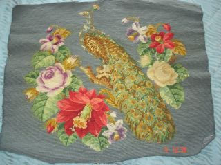 Vintage (1930s/40s) Completed Needlepoint Tapestry Peacock And Flowers Gorgeous photo