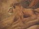 Wonderful Antique Tapestry / Wall Hanging Lion Cira1800s - Tapestries photo 2