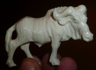Faux Ivory Hand Carved Chinese Ox Grain And Detail Lovely Item C19th photo