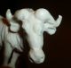 Faux Ivory Hand Carved Chinese Ox Grain And Detail Lovely Item C19th Other photo 1
