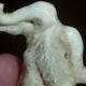 Faux Ivory Hand Carved Chinese Ox Grain And Detail Lovely Item C19th Other photo 2