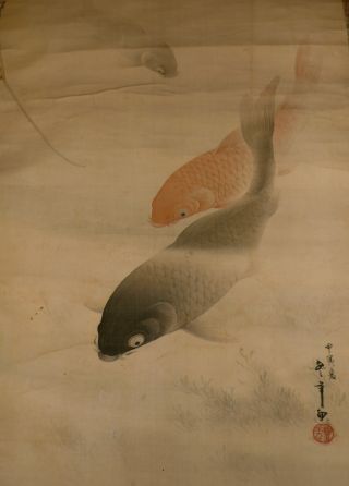 Kakemono Japanese Koi Scroll Painting,  Exceptional Large C.  Edo Early 1850 - 1900 photo
