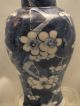 Chinese Porcelain Blue & White Prunus Vase 19thc Porcelain photo 1