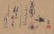 Orig Japanese Hand Painted Manuscript Album Of Sketches & Haiku Poems 1880 Paintings & Scrolls photo 4