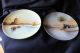 Set Of Two (2) Antique Hand - Painted Meito Scenic Porcelain Plates Plates photo 10