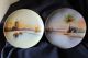 Set Of Two (2) Antique Hand - Painted Meito Scenic Porcelain Plates Plates photo 4