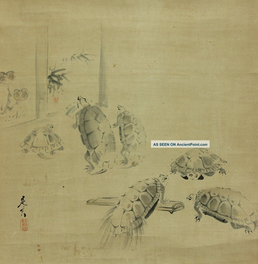 Jiku725 Ct Japan Scroll Shibata Zeshin Turtle Paintings & Scrolls photo