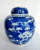 Chinese Blue & White Porcelain Prunus Ginger Jar,  Double Ring Mark Porcelain photo 1