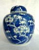 Chinese Blue & White Porcelain Prunus Ginger Jar,  Double Ring Mark Porcelain photo 2