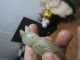 Carving A Monster,  It Is An Old And Hetian Jade,  Jade.  With Support,  Very Beautif Other photo 2