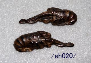 Rare Menuki For Samurai Katana,  Cuttlefish,  Copper,  Edo/eh020/ photo