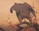 Utamaro Japanese Vintage Woodblock Print Falcon & Bull - Headed Shrike Prints photo 1