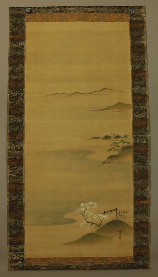 Japanese Honshi : Kano Osanobu 