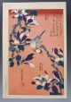 Hokusai Japanese Vintage Woodblock Print Java Sparrow On Magnolia Buncho Kobushi Prints photo 1