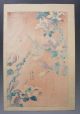 Hokusai Japanese Vintage Woodblock Print Java Sparrow On Magnolia Buncho Kobushi Prints photo 4