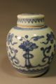 Rare Blue & White Vase In Kangxi Period Vases photo 3