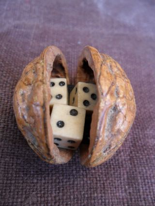 19th Century Chinese Small Cow Bone Dice In A Hinged Walnut Shell photo