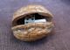19th Century Chinese Small Cow Bone Dice In A Hinged Walnut Shell Other photo 1