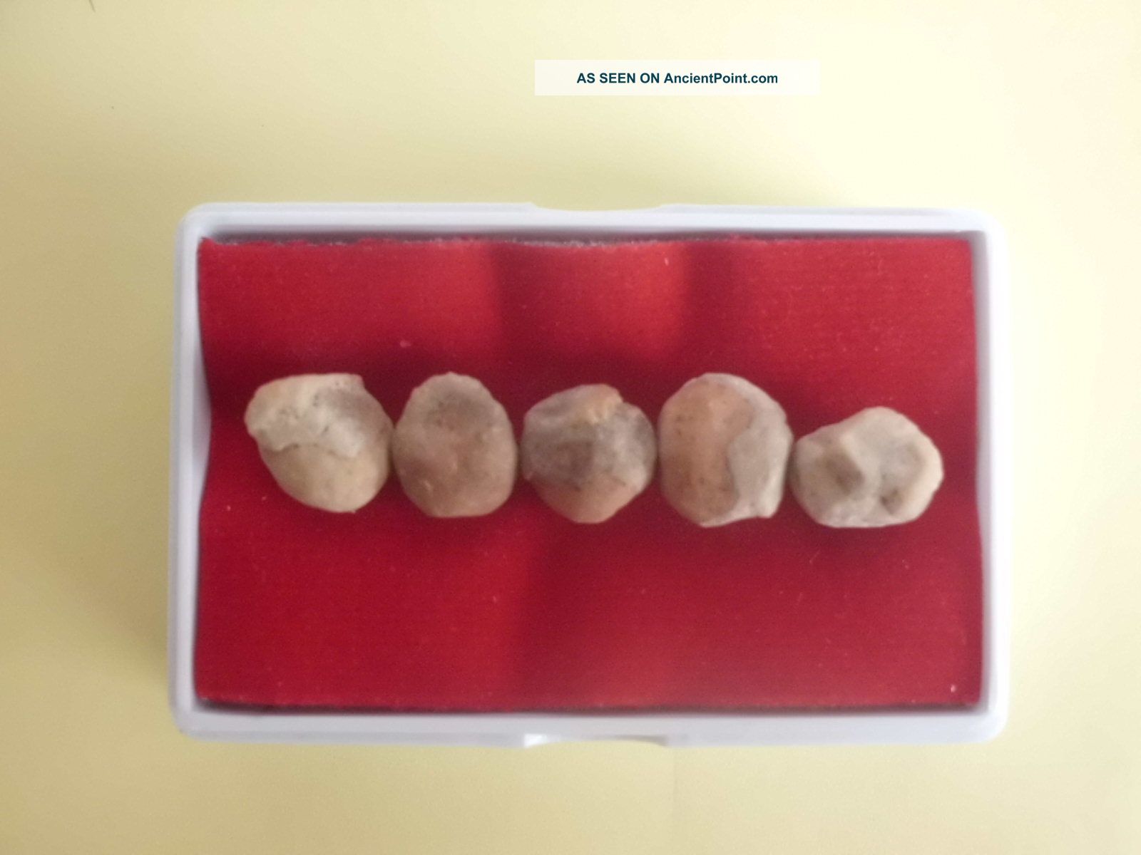 Special Buyer Amulet Phra - Tad Mok - Kun - La - Na Buddha ' S Relics Thai Amulets photo