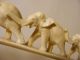 Japanese Carved Group Of Elephants,  C.  1890. Other photo 3