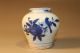 Rare Blue & White Vase In Ming Dynasty Vases photo 3