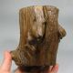 Eaglewood Wood Tree Trunk Carved Brush Pot More Than 300 Years Old Brush Pots photo 9