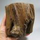 Eaglewood Wood Tree Trunk Carved Brush Pot More Than 300 Years Old Brush Pots photo 5