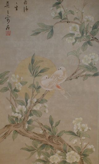 Vintage Chinese Koi Carp Doves Love Birds Moon Hand Painted Scroll Kakejiku 374 photo