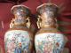 Vint.  Antique Stunning Pair Of Rose Famille Porcelain Vases 10 Inches Tall Vases photo 9