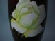 A Japanes Rose Cloisonne Vase Vases photo 1