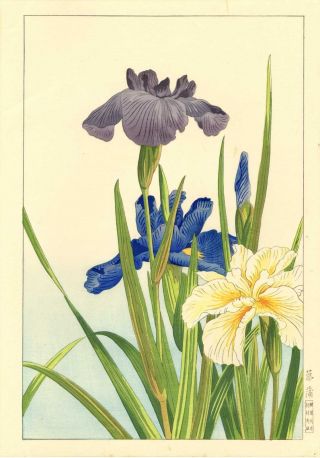 Nishimura Hodo Japanese Woodblock Print Iris 1939 photo