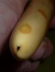 Faux Ivory Thick Curved Asprey London Bottle Opener Natural Hatching Circa 1920 Other photo 3