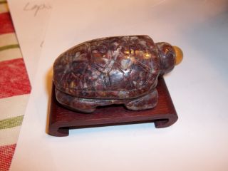 Carved Brown Pietersite Snuff Bottle Turtle With Agate Top And Wood Base photo